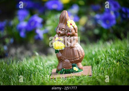 Abbildung Bild zeigt ein Osterei aus Milchschokolade, ein Paar Hasen (Kaninchen, Kaninchen, Hase) liegt in einem Garten inmitten von Frühlingsblumen, während einer Ostereierjagd am 18. April 2022 in Paris Frankreich. Foto von Victor Joly/ABACAPRESS.COM Stockfoto