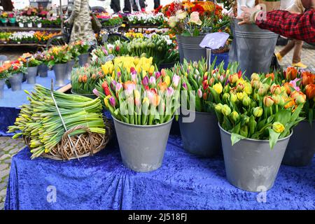 Freiburg, Deutschland - April 2022: Bunte Frühlingsblumen in Körben am Marktstand Stockfoto