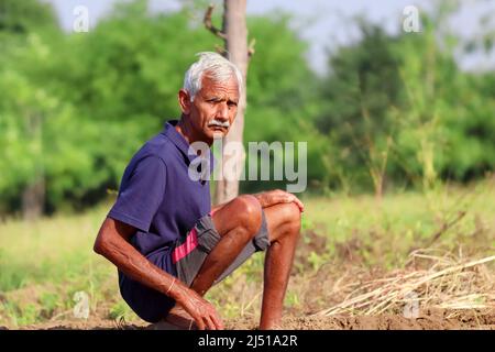Nahaufnahme eines indischen Bauern im Alter, der auf dem Feld sitzt und die Kamera anschaut, Indien Stockfoto