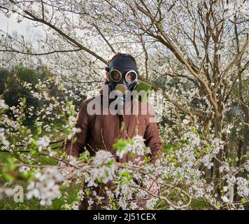Der Allergiker leidet im Frühjahr an einer saisonalen Allergie, posiert im blühenden Garten im Frühling und trägt eine Gasmaske zwischen blühenden Bäumen. Frühjahrsallergiekonzept Stockfoto