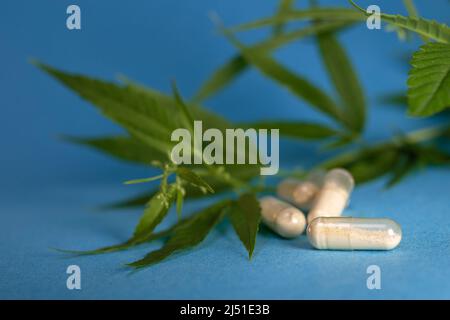 Medizinische Kapsel auf dem Hintergrund von Cannabisblättern. Kapseln mit CBD-Öl. Stockfoto