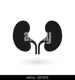 Symbolvektor für die Niere. Design-Vorlage für Urologie-Logo. Vektor Stock Vektor