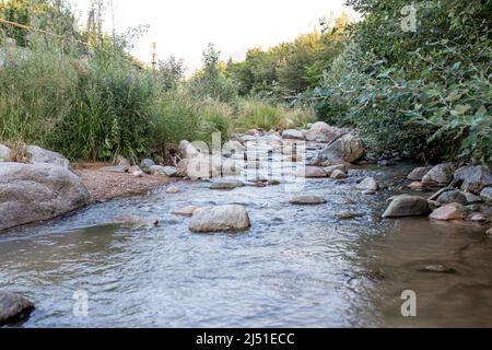 Ein Gebirgsfluss fließt über Felsen zwischen Bäumen. Stockfoto