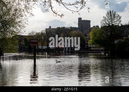 Windsor, Großbritannien. 19.. April 2022. Spiegelungen von Windsor Castle an der Themse. Nach einem heißen und sonnigen Wochenende war es heute Morgen in Windsor kühler. Quelle: Maureen McLean/Alamy Live News Stockfoto