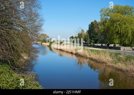 Der Royal Military Canal im Frühling in der Nähe von Appledore, Kent, Südostengland, am Rande des Romney Marsh Stockfoto