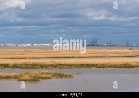 Harwich Dock Kräne und Dovercourt Küste, von Naze Beach Essex England UK genommen. Februar 2022. Stockfoto