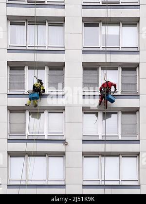 Industriekletterer waschen Fenster auf einem riesigen Wohngebäude. Das Arbeiten in der Höhe erfordert Fähigkeiten und Fertigkeiten. Stockfoto