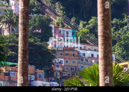 Santa Marta Favela vom Botafogo-Viertel in Rio de Janeiro aus gesehen. Stockfoto