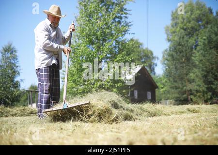 Ein älterer Landwirt säubert das geschnittene Heu. Ein grauhaariger Mann mäht das Gras auf der Wiese. Stockfoto