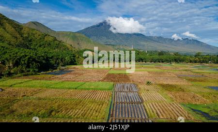 Luftaufnahme einiger landwirtschaftlicher Felder in Sembalun. Sembalun liegt am Hang des Berges Rinjani und ist von wunderschönen grünen Bergen umgeben Stockfoto