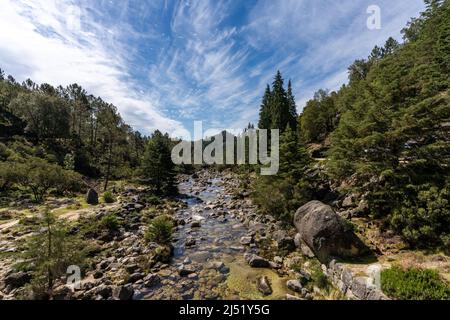 Blick auf den Arado-Fluss und den Wald im Peneda-Geres-Nationalpark in Portugal Stockfoto