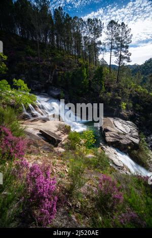 Blick auf die Cascata Fecha de Barjas Wasserfälle im Peneda-Geres Nationalpark in Portugal Stockfoto