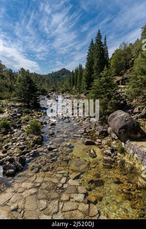 Blick auf den Arado-Fluss und den Wald im Peneda-Geres-Nationalpark in Portugal Stockfoto