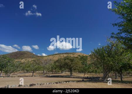 Ponce, Puerto Rico, USA: hauptplatz am Tibes Indigenous Ceremonial Center, einer archäologischen Stätte, die von alten Igneri- und Tainos-Stämmen erbaut wurde. Stockfoto