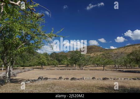 Ponce, Puerto Rico, USA: hauptplatz am Tibes Indigenous Ceremonial Center, einer archäologischen Stätte, die von alten Igneri- und Tainos-Stämmen erbaut wurde. Stockfoto