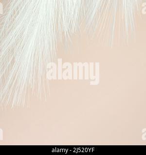 Weiße flauschige Feder auf hellbeigem Hintergrund. Design Kunst Hintergrund. Stockfoto