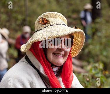 Monarch Butterfly Sanctuaries in Senguio, El Rosario und Sierra Chincua - Michoacán, Mexiko Stockfoto