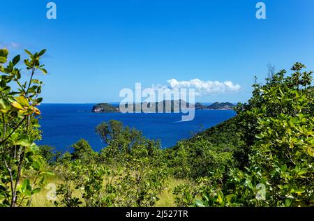 Insel Terre-de-Haut, Iles des Saintes, Les Saintes, Guadeloupe, kleine Antillen, Karibik. Stockfoto