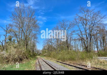 Gleis, Gleisen, Anschlussgleich, Normalspur, Gleisbett, Schotter, Schotterbett, Schwelle, Beton, Holz, Eisen, modern, stillgelegt, zweigig, Ros Stockfoto