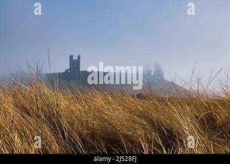 Blick durch goldene Sanddünengräser auf ein nebeliges Dunstanburgh Castle, Northumberland Coast Path, England Stockfoto