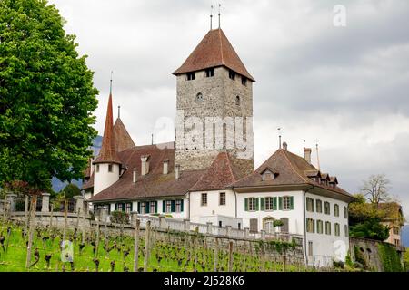 Spiez, Schweiz - 17. April 2017: Das Schloss Spiez ist auf einem Hügel gegen einen bewölkten Himmel zu sehen. Das Schweizer Kulturerbe befindet sich in der Gemeinde Spiez Stockfoto