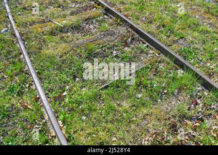Gleis, Gleisen, Anschlussgleich, Normalspur, Gleisbett, Schotter, Schotterbett, Schwelle, Beton, Holz, Eisen, modern, stillgelegt, zweigig, Ros Stockfoto
