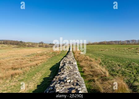 Die Hadrianmauer, auch als römische Mauer bekannt, ist eine ehemalige Verteidigungsfestung der römischen Provinz Britannien, die 122 n. Chr. unter der Herrschaft von begann Stockfoto