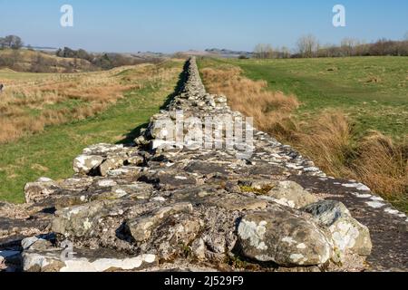 Die Hadrianmauer, auch als römische Mauer bekannt, ist eine ehemalige Verteidigungsfestung der römischen Provinz Britannien, die 122 n. Chr. unter der Herrschaft von begann Stockfoto