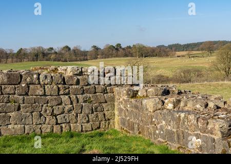 Die Hadrianmauer, auch als römische Mauer bekannt, ist eine ehemalige Verteidigungsfestung der römischen Provinz Britannien, die 122 n. Chr. unter der Herrschaft von begann Stockfoto
