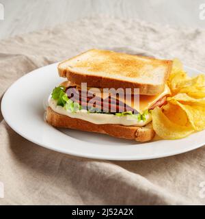 Hausgemachtes gebratene Bologna und Käse-Sandwich mit Chips auf einem Teller, Seitenansicht. Stockfoto