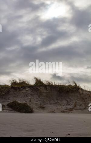 Strandkämmen auf Barra. Stockfoto