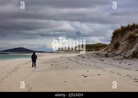 Strandkämmen auf Barra. Stockfoto