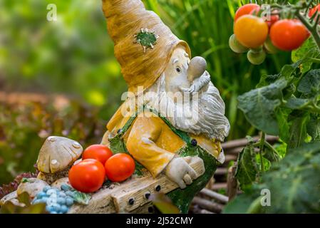 Gartenzwerg Ornament Figur mit Schubkarre unter verschiedenen Arten von Salat und Gemüse in quadratischen Fuß Garten im Frühjahr Stockfoto