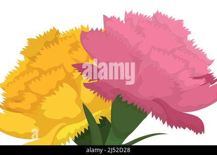 Nahaufnahme der schönen Nelken in gelben und rosa Farben. Design im Cartoon-Stil, isoliert auf weißem Hintergrund. Stock Vektor