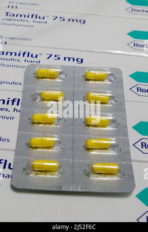 Blisterpackung mit Tamiflu (Osteltamivir)-Kapseln, 30mg, auf Schachteln mit Tamiflu 75mg, noch in Schrumpffolie, fertig zum Dispensieren Stockfoto