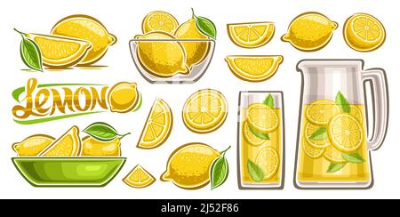 Vector Lemon Set, Lot Sammlung von ausgeschnittenen Illustrationen Frucht Stillleben Kompositionen mit grünen Blättern, Gruppe von verschiedenen geschnittenen Zitronen, transparent Stock Vektor