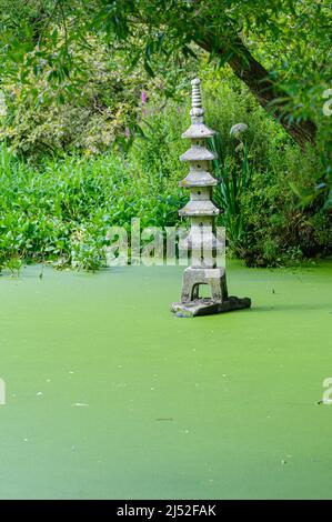 Japanische Pagode Stil Wasserspiel in einem Teich mit Grünalgen Stockfoto