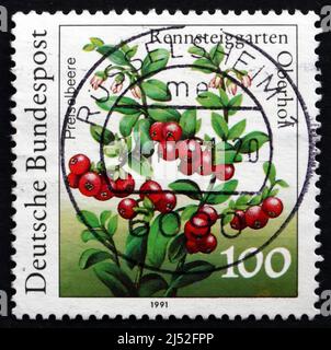 DEUTSCHLAND - UM 1991: Eine in Deutschland gedruckte Marke zeigt Cranberry, Fruit, um 1991 Stockfoto