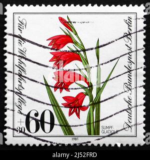 DEUTSCHLAND - UM 1981: Eine in Deutschland gedruckte Marke zeigt Marsh Gladiolus, Gladiolus Palustris, Herbaceous Perennial Plant, um 1981 Stockfoto