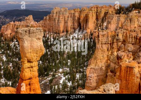 Bryce Canyon Nationalpark Stockfoto