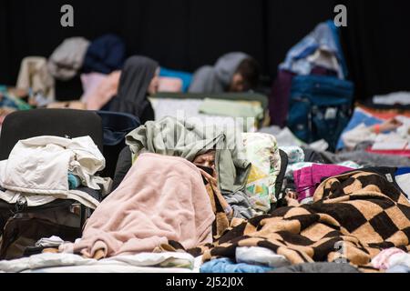 Warschau, Polen. 19. April 2022. Eine ältere Frau beobachtet ihr Smartphone im Empfangszentrum der Global Expo in Warschau. Nach Schätzungen des UNHCR, der UN-Flüchtlingsorganisation, sind seit dem Einmarsch Russlands in die Ukraine am 24.. Februar fünf Millionen Ukrainer abgereist. Fast drei Millionen Menschen haben von der Ukraine aus die polnische Grenze überschritten. In Warschau sind immer noch Tausende von Menschen im Aufnahmezentrum der Global Expo für Flüchtlinge untergebracht - einem von vielen und zweitgrößten Flüchtlingsunterkünften in der Hauptstadt. (Foto von Attila Husejnow/SOPA Images/Sipa USA) Quelle: SIPA USA/Alamy Live News Stockfoto