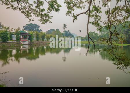 Regenbaum-Äste über dem See mit Spiegelung auf dem Wasser im Taiping Lake Garden oder Taman Tasik Taiping in Perak, Malaysia. Stockfoto