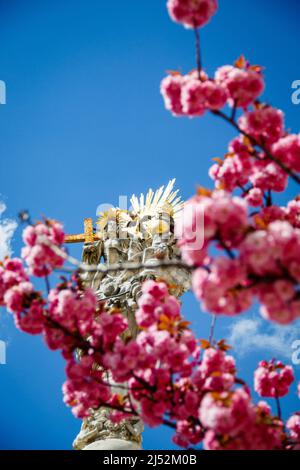 Säule der Heiligen dreifaltigkeit auf dem Hauptplatz in der Stadt Sopron, Ungarn. Stockfoto