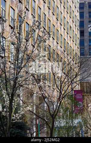 Campus des Fashion Institute of Technology aka FIT. New York, NY, USA. Stockfoto