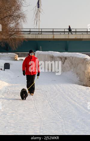 Rovaniemi, Finnland - 18.. März 2022: Ein Mann, der mit seinem Hund auf einer schneebedeckten Straße in Rovaniemi, Finnland, unterwegs ist. Stockfoto