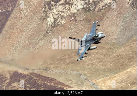 F-16cm Kampfflugzeuge von Falcon aus dem Jagdgeschwader 510., bekannt als die „Bussards“ aus Aviano, Italien, im Einsatz bei RAF Lakenheath für Training Stockfoto