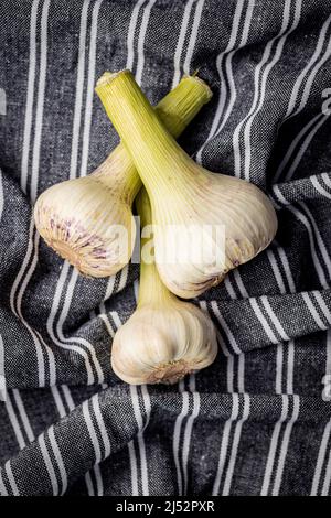 Ganze Knoblauchzwiebel. Frischer weißer Knoblauch auf einer Küchenserviette. Draufsicht. Stockfoto