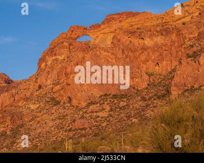 Arch Canyon im Abendlicht, Ajo Mountain Drive, Organ Pipe Cactus National Monument, Arizona. Stockfoto