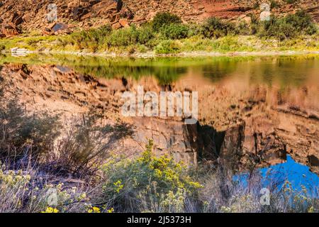 Sandy Beach River Access Colorado River Reflection Abstract Green Grass Moab Utah USA Southwest. Stockfoto