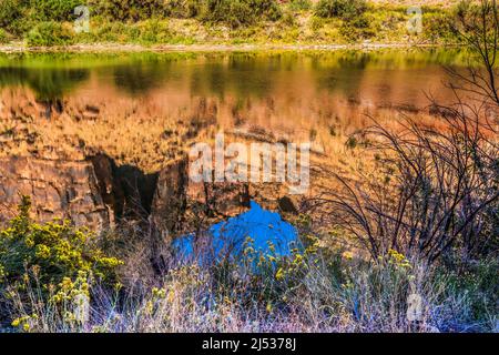 Sandy Beach River Access Colorado River Reflection Abstract Green Grass Moab Utah USA Southwest. Stockfoto